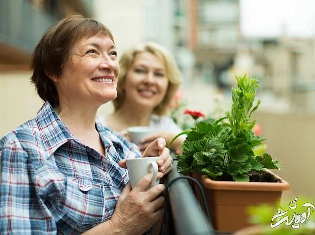 صحبت کردن با همسایه همسایگی